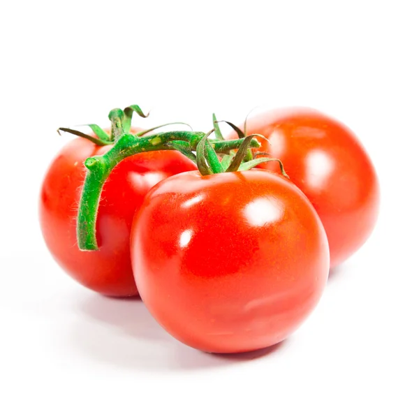 Zbliżenie pomidorów na winorośli na białym tle — Zdjęcie stockowe
