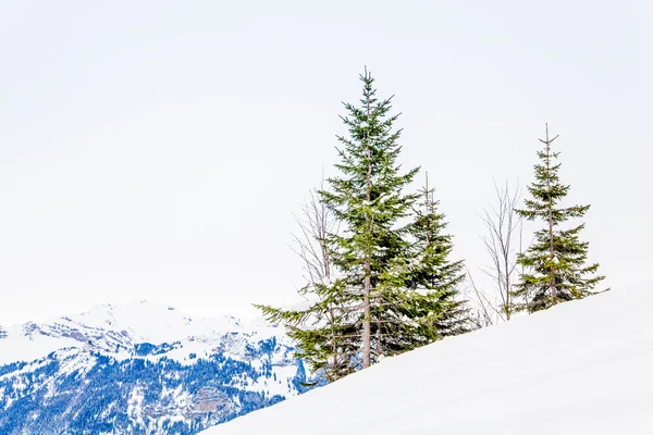 Paisagem de inverno. Alpes Alpinos paisagem de montanha — Fotografia de Stock