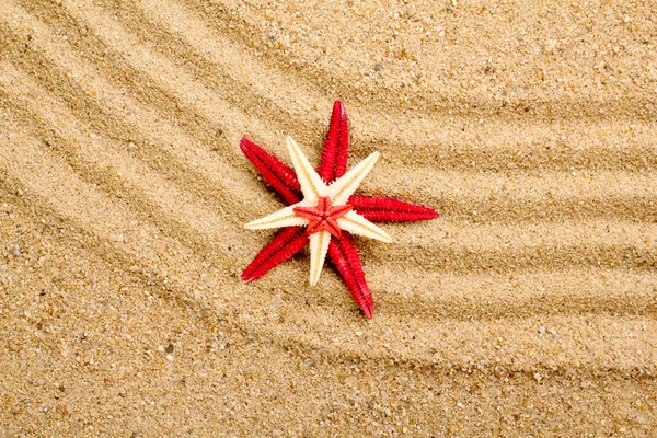 Estrella del mar en la arena de la playa — Foto de Stock