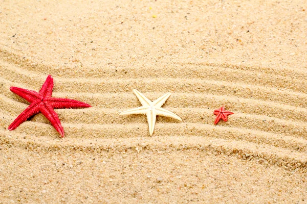 Estrella del mar en la arena de la playa — Foto de Stock