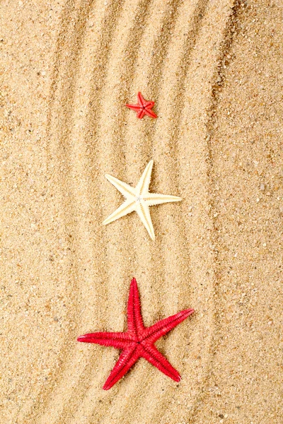 Sea star på sanden på stranden — Stockfoto