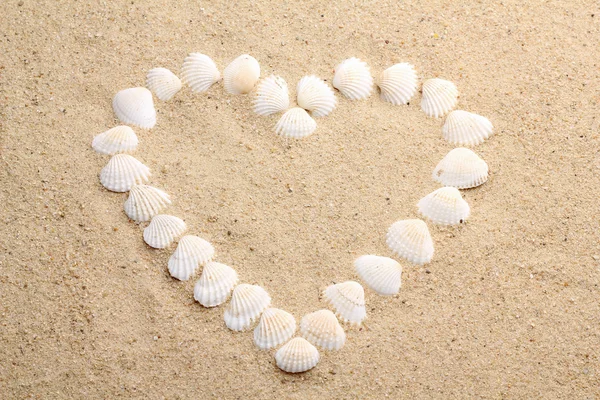 Heart made with shells — Stock Photo, Image