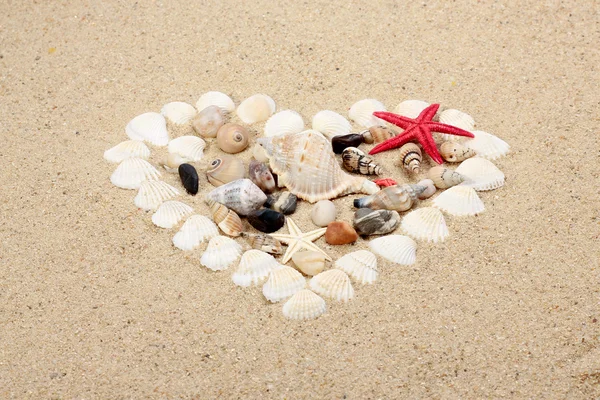 Corazón hecho con conchas — Foto de Stock
