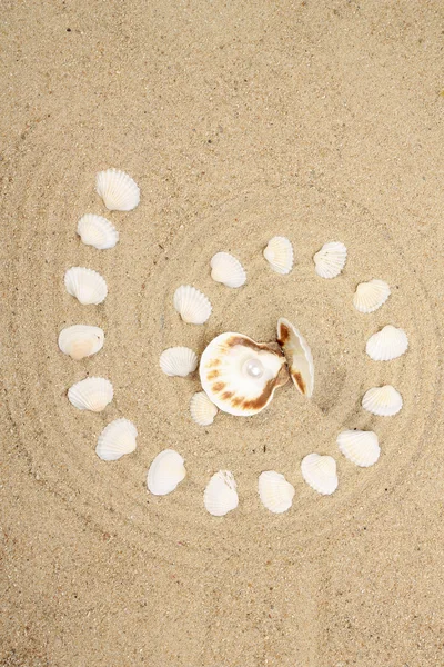 Pearl on the seashell — Stock Photo, Image