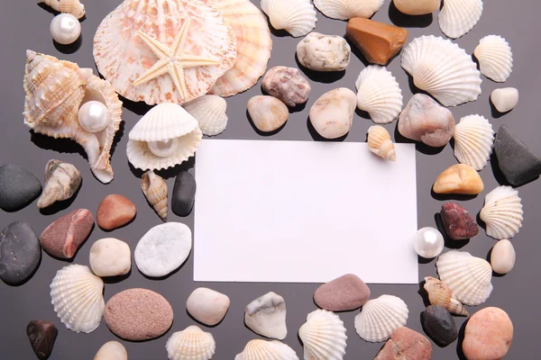 Sea shell en witte kaart op zwarte achtergrond. — Stockfoto