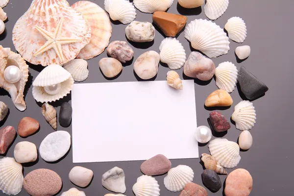 Sea shell en witte kaart op zwarte achtergrond. — Stockfoto
