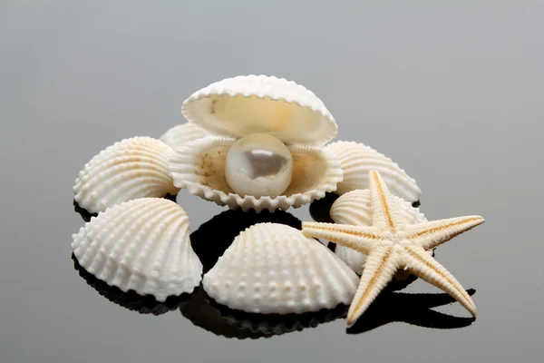 Pearl on the seashell — Stock Photo, Image