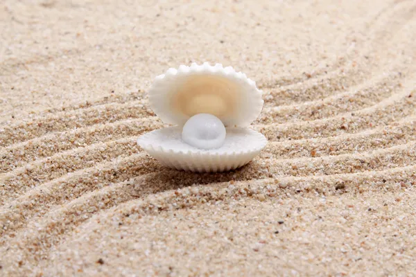 Pearl on the seashell — Stock Photo, Image