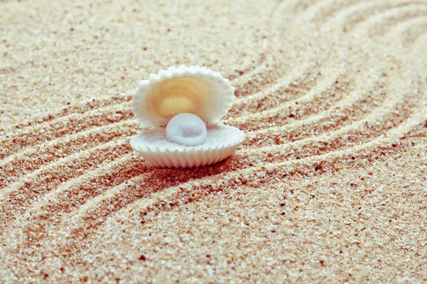貝殻の真珠 — ストック写真