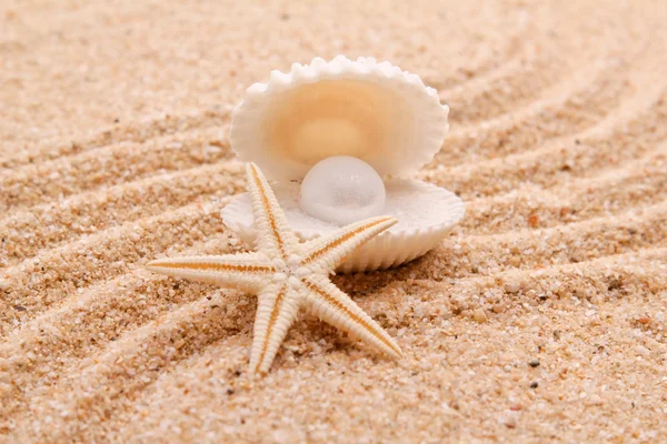 Pearl on the seashell — Stock Photo, Image