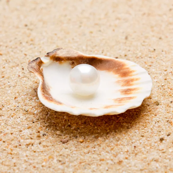 Shell with a pearl. — Stock Photo © Valentyn_Volkov #60639685