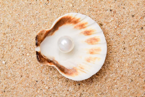 Pearl on the seashell — Stock Photo, Image