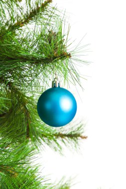 Noel top ve köknar ağacı