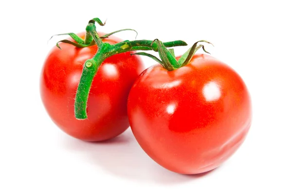 Closeup of tomatoes on the vine isolated on white — Stock Photo, Image