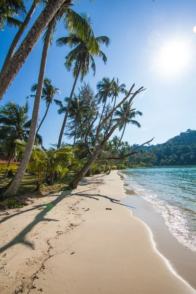 Praia tropical. Praia em Ko Kood — Fotografia de Stock