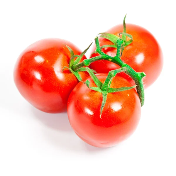 Closeup of tomatoes on the vine — Stock Photo, Image