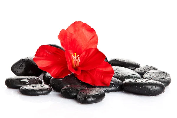 Zen pebbles. background of a spa with stones — Stock Photo, Image