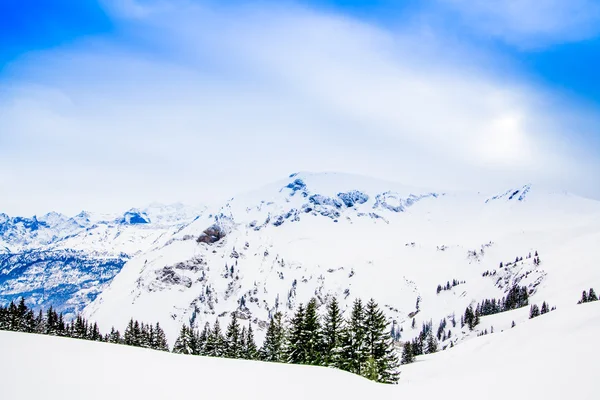 冬の風景です。アルパインのアルプスの山の風景 — ストック写真