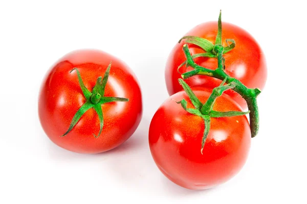 Closeup of tomatoes on the vine — Stock Photo, Image
