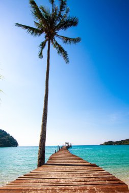 Tropik tatil köyü. Sahilde sahil yürüyüşü