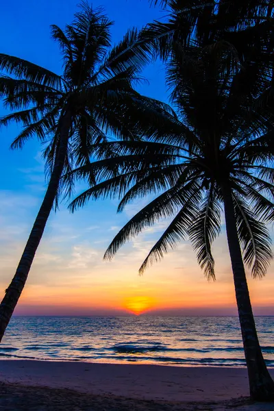 Wunderschöner tropischer Sonnenuntergang mit Palmen. Tropenstrand. Palme — Stockfoto