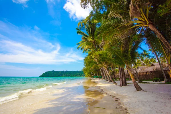 Beautiful beach and tropical sea. Palm and tropical beach — Stock Photo, Image