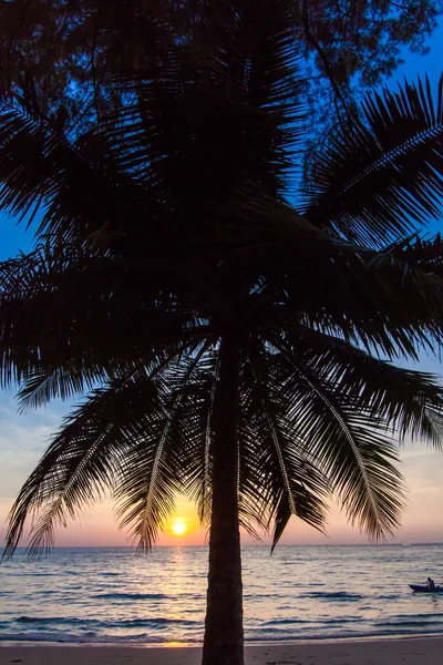 Beau coucher de soleil tropical avec palmiers — Photo