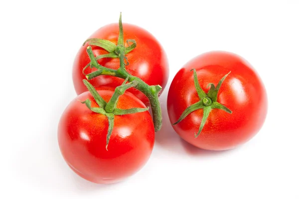 Drie verse tomaten — Stockfoto