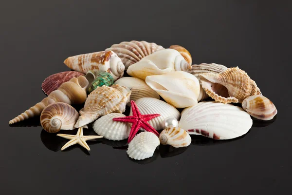 Sea star and shells — Stock Photo, Image