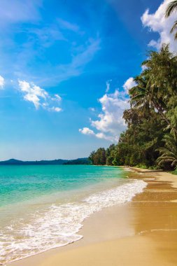 Avuç içi ve tropik plaj