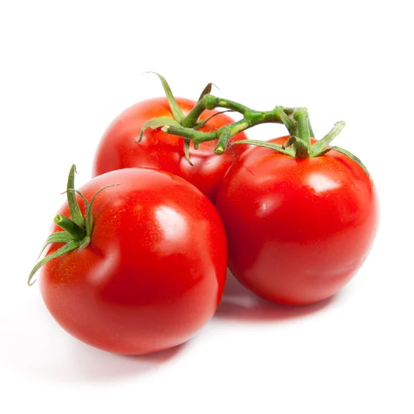 Tre pomodori freschi — Foto Stock