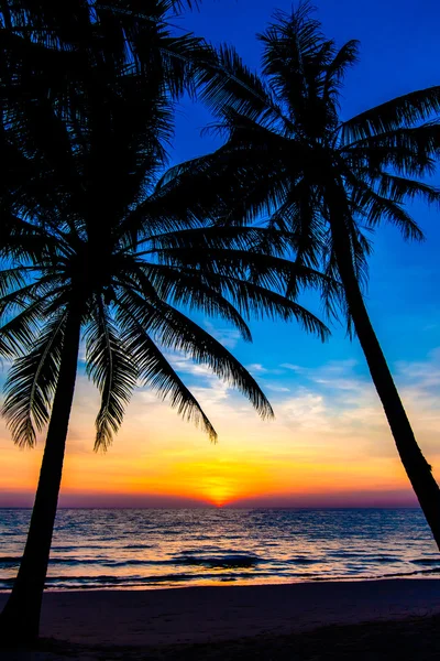 Puesta de sol tropical con palmeras —  Fotos de Stock