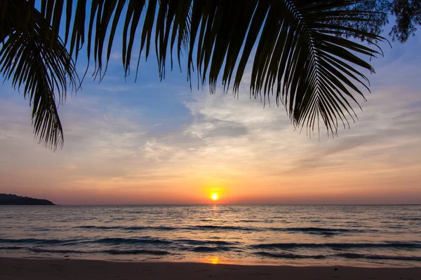 Beau coucher de soleil tropical avec palmiers — Photo