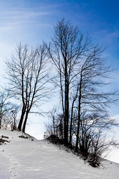 Winterlandschap — Stockfoto