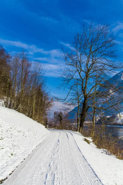 Snöig Vinterväg — Stockfoto