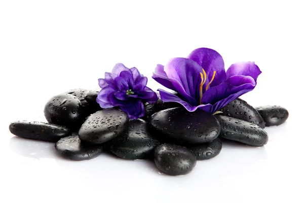 Zen pebbles. background of a spa with stones — Stock Photo, Image