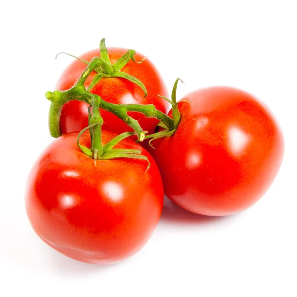 Primer plano de tomates en la vid aislados en blanco. Rama de tomate —  Fotos de Stock