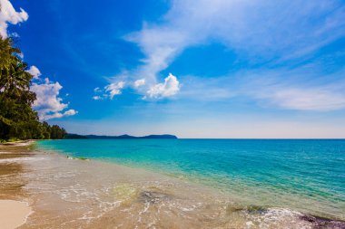 Tayland 'da tropik plaj.