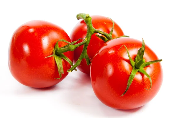 Primer plano de tomates en la vid aislados en blanco. Rama de tomate —  Fotos de Stock