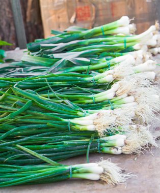 yeşil soğan
