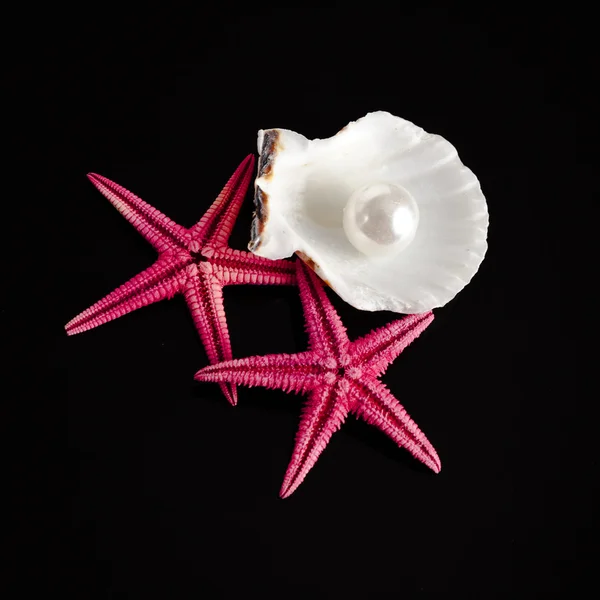 Pearl on the seashell — Stock Photo, Image