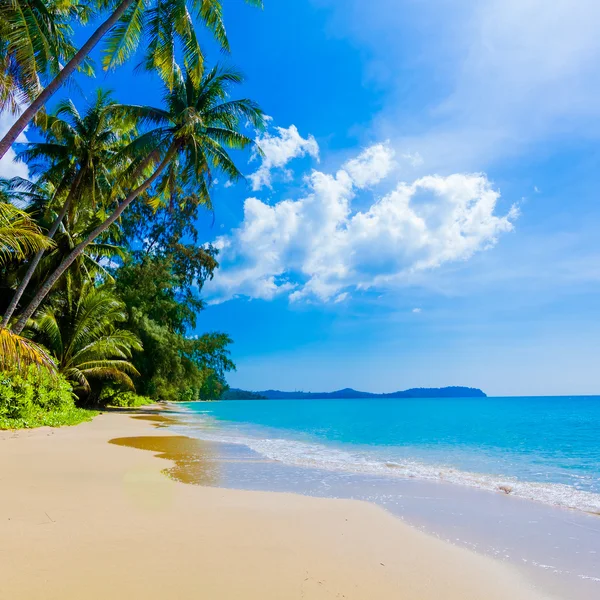 Beautiful beach and tropical sea Stock Photo