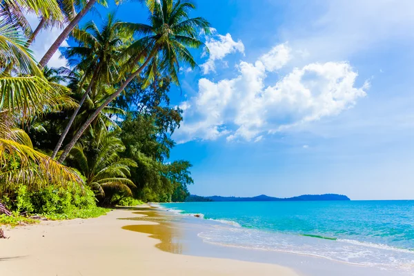 Bella spiaggia e mare tropicale — Foto Stock