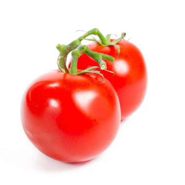 Fresh tomatoes — Stock Photo, Image