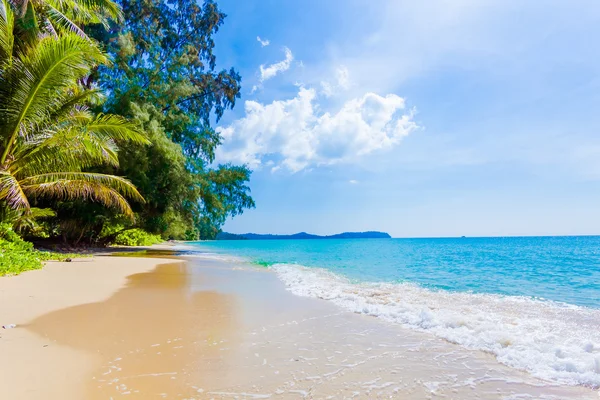 Hermosa playa y mar tropical — Foto de Stock