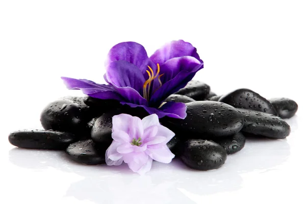 Zen pebbles. background of a spa with stones — Stock Photo, Image