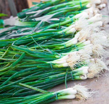 yeşil soğan