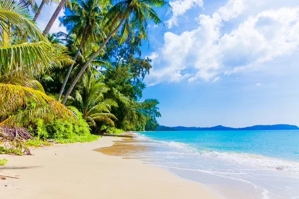 Hermosa playa y mar tropical — Foto de Stock