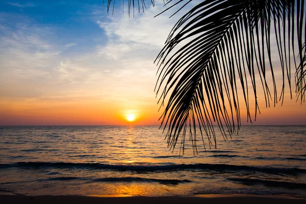 Playa tropical — Foto de Stock