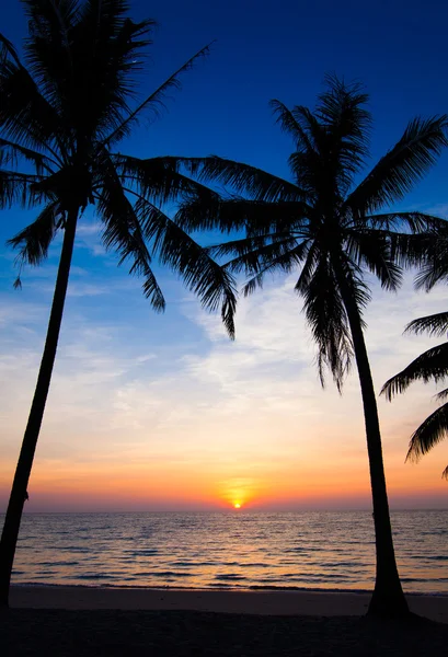 Spiaggia tropicale — Foto Stock